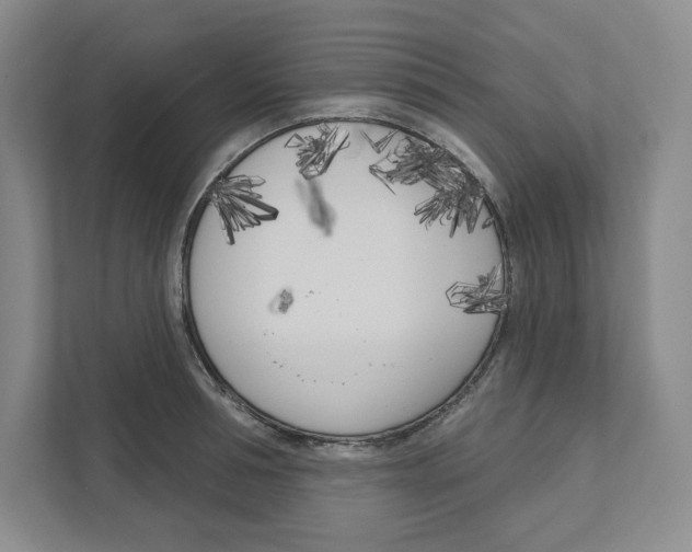 X0000111180994200907291140