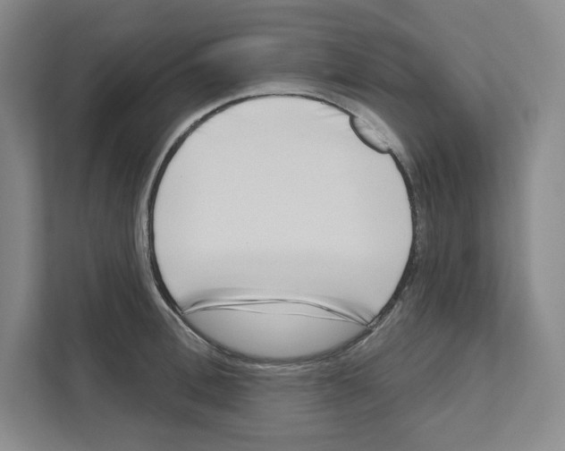 X0000111180996200907291140