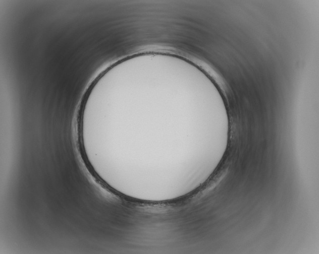 X0000111180999200907291139