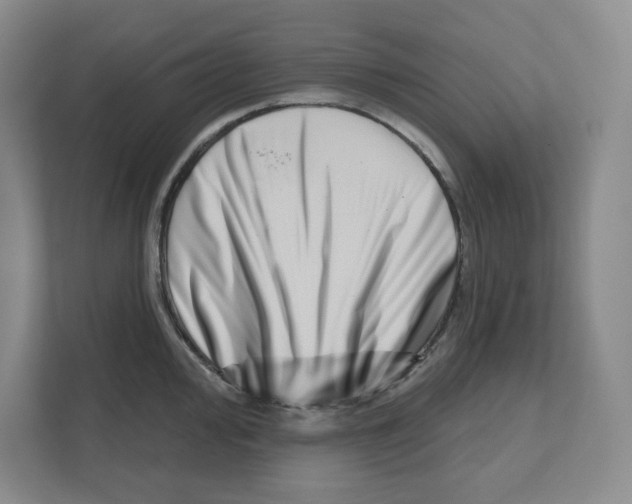 X0000111181000200907291139