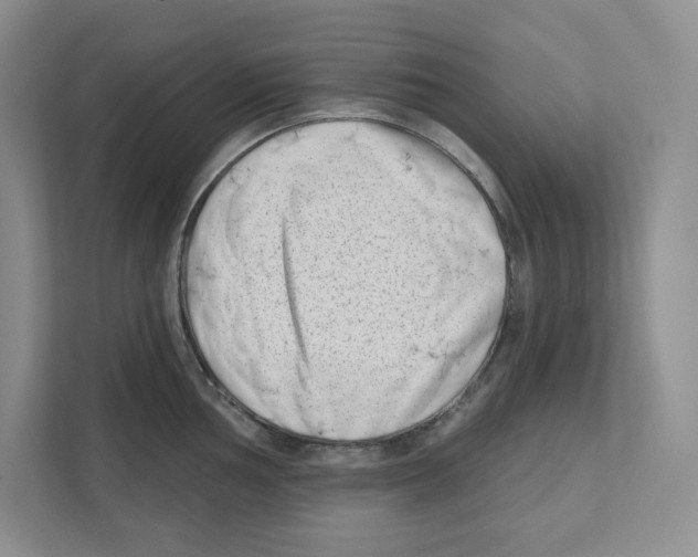 X0000111181002200907291139