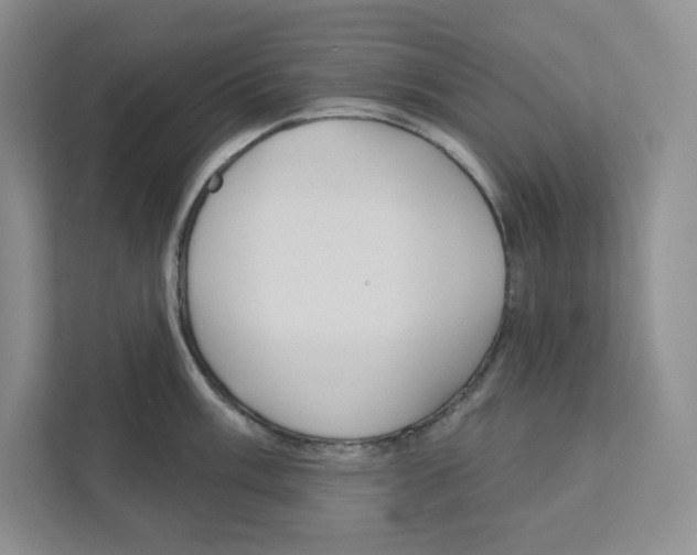 X0000111181003200907291139