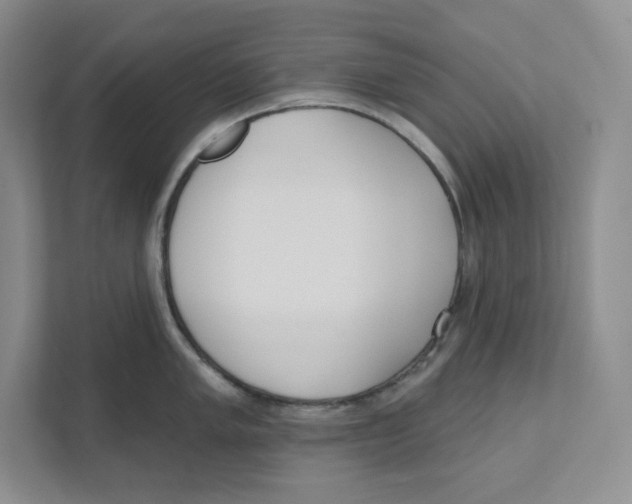 X0000111181005200907291139