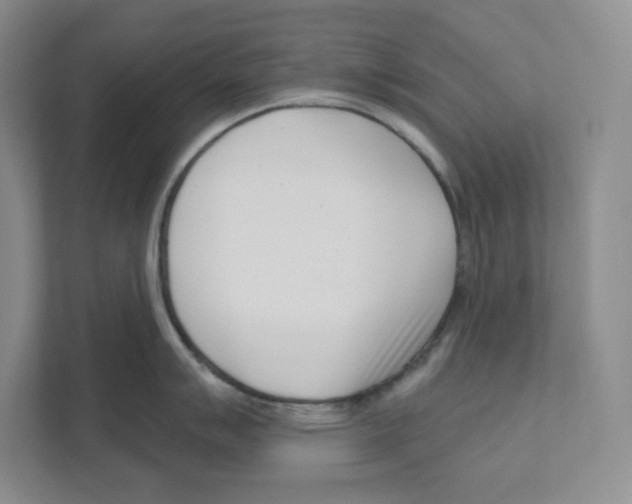 X0000111181007200907291139