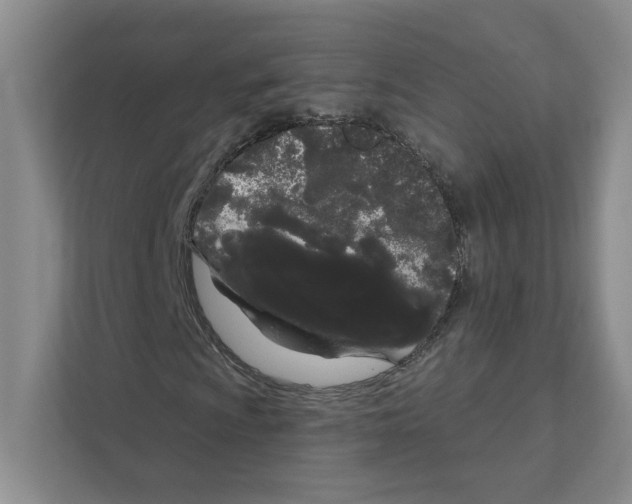 X0000111181009200907291139