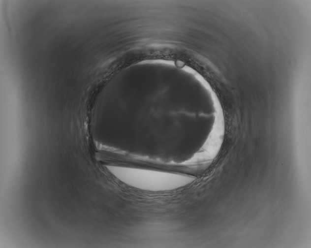 X0000111181013200907291139