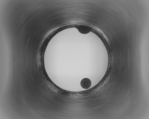 X0000111181019200907291139