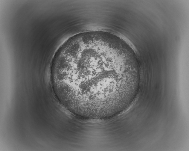 X0000111181023200907291139