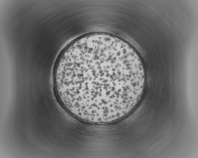 X0000111181028200907291139