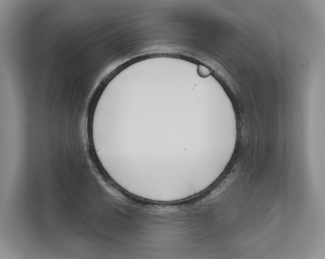 X0000111181030200907291139