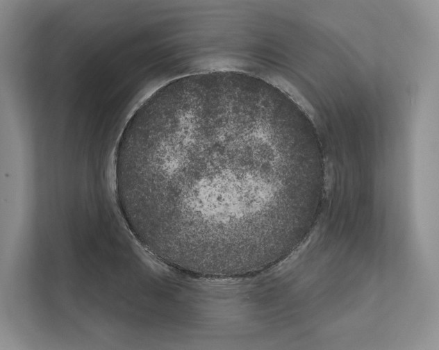 X0000111181031200907291139