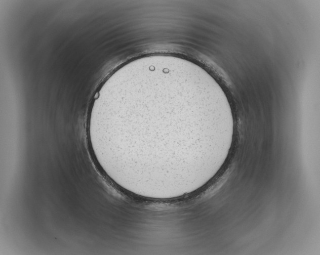 X0000111181033200907291139