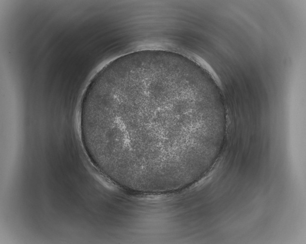 X0000111181035200907291139