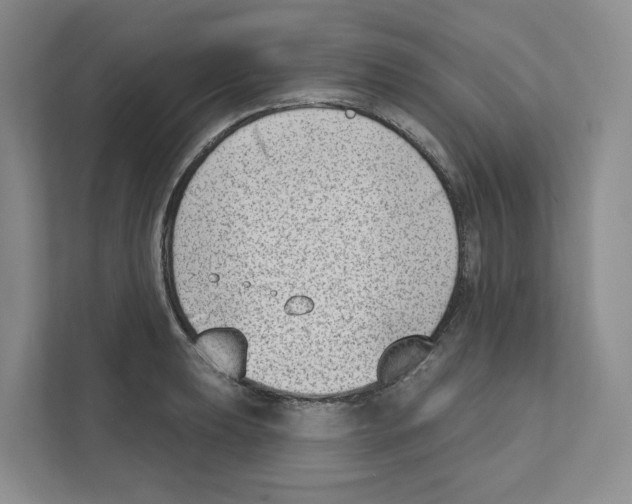 X0000111181039200907291139