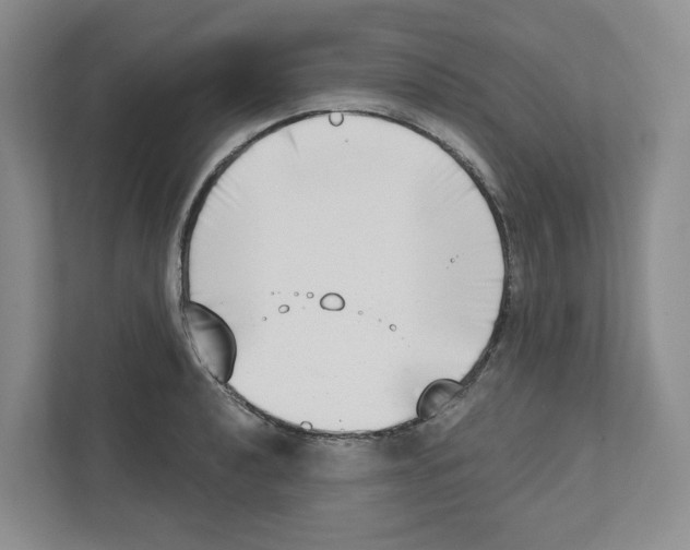 X0000111181040200907291139