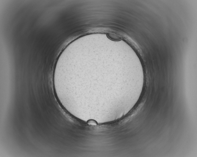 X0000111181041200907291139