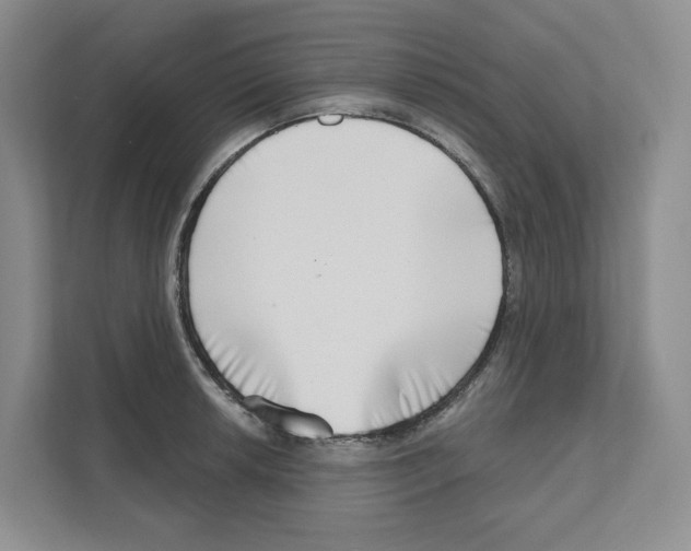 X0000111181042200907291139