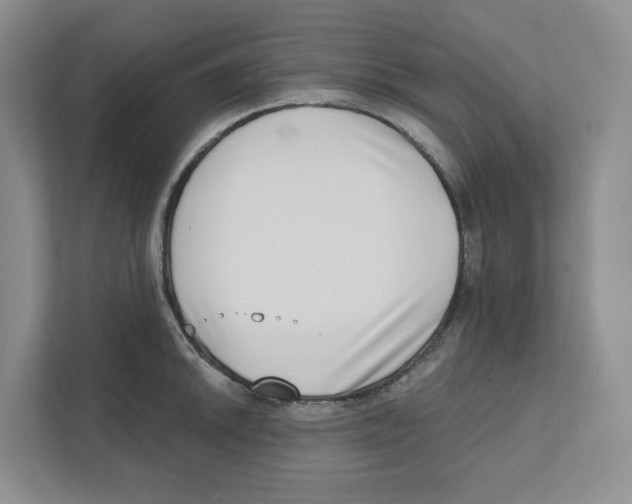 X0000111181046200907291139