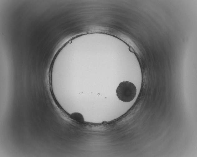 X0000111181047200907291139