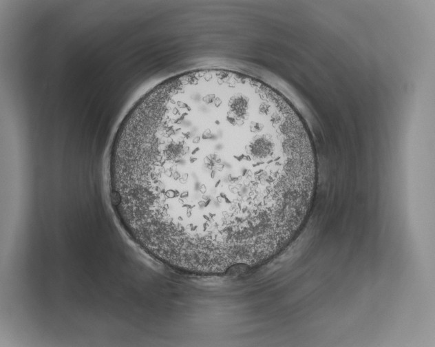 X0000111181048200907291139