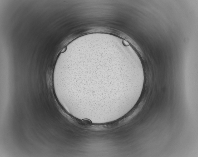 X0000111181049200907291139