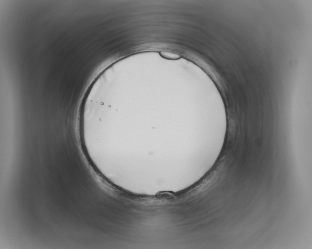 X0000111181050200907291139