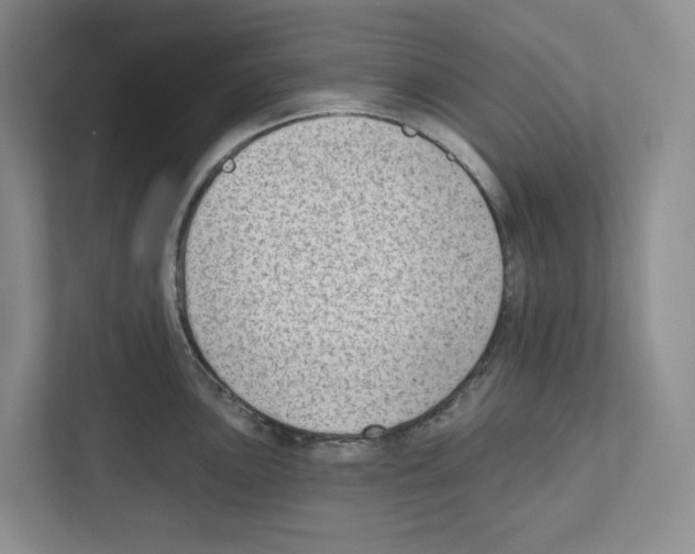 X0000111181051200907291139