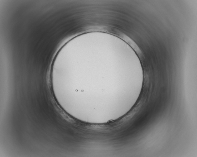 X0000111181052200907291139