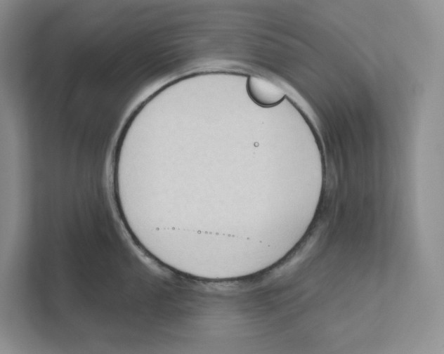 X0000111181053200907291139