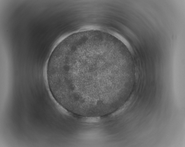 X0000111181055200907291139