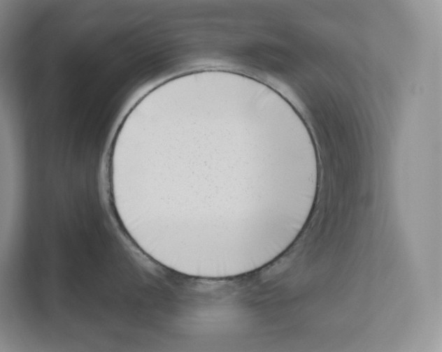 X0000111181056200907291139