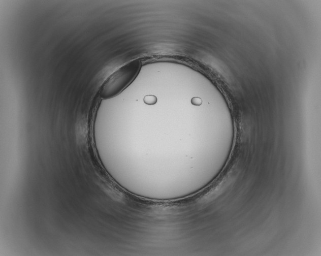 X0000111181065200907291139