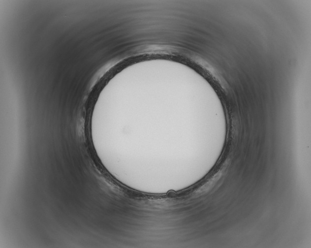 X0000111181066200907291139