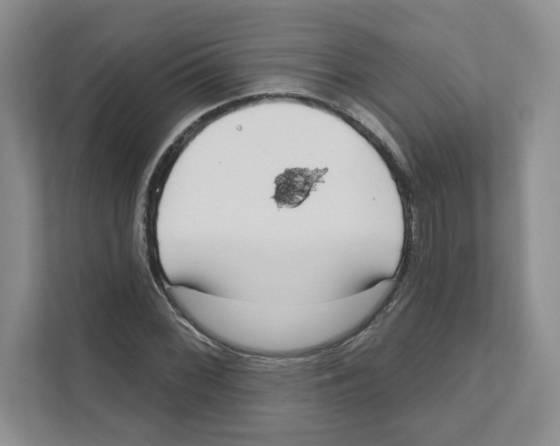 X0000111181068200907291139