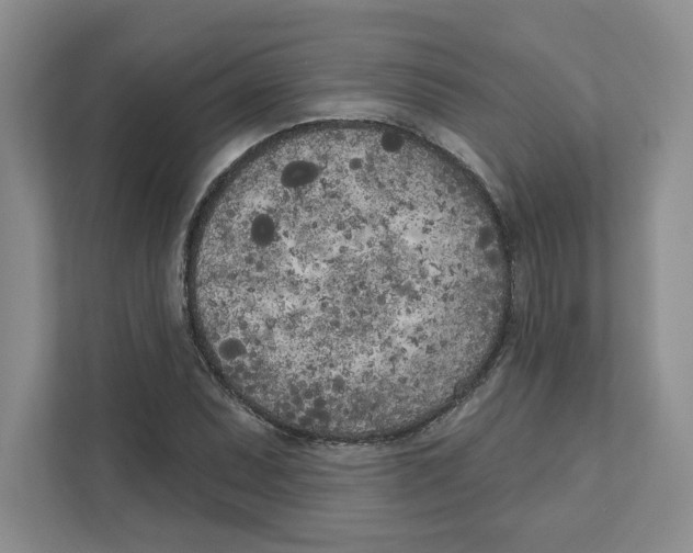 X0000111181071200907291139