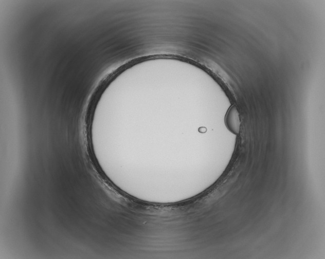 X0000111181072200907291139