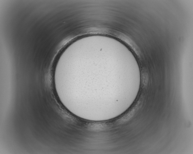 X0000111181074200907291138