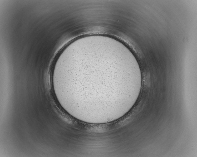 X0000111181078200907291138