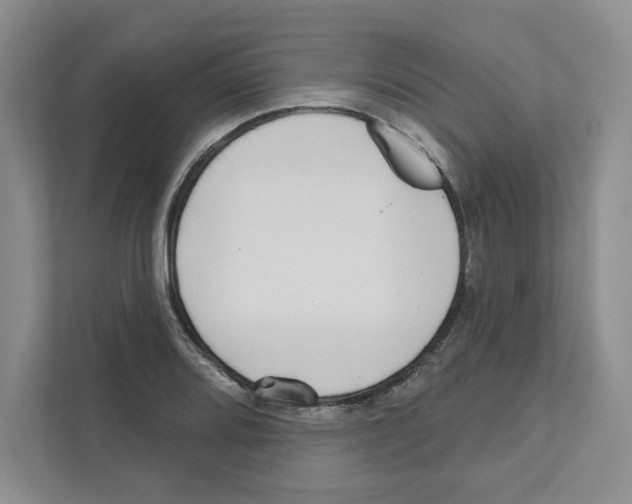 X0000111181080200907291138