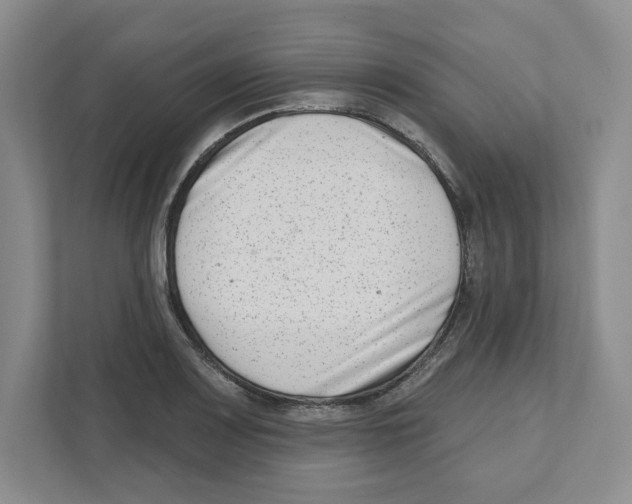 X0000111181083200907291138