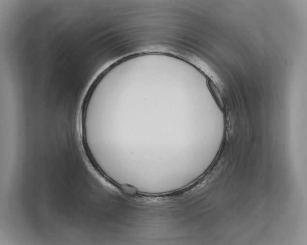 X0000111181084200907291138