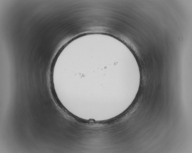 X0000111181085200907291138