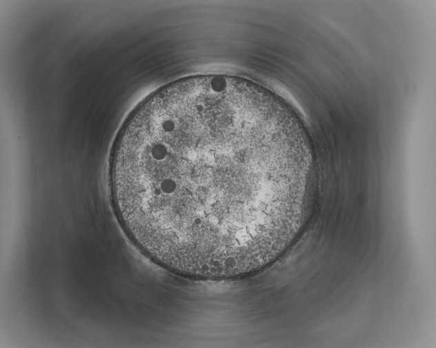 X0000111181087200907291138