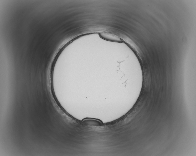 X0000111181088200907291138