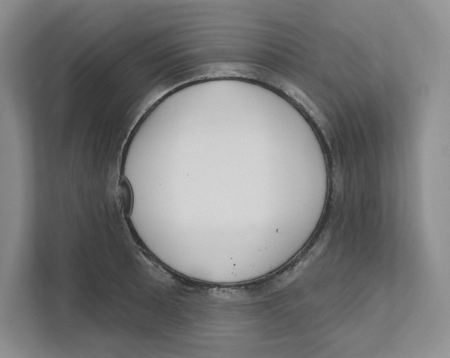 X0000111181089200907291138