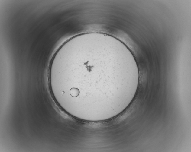 X0000111181094200907291138