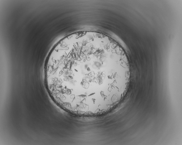 X0000111181095200907291138