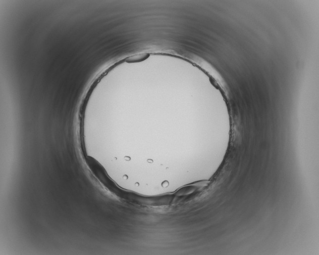 X0000111181096200907291138