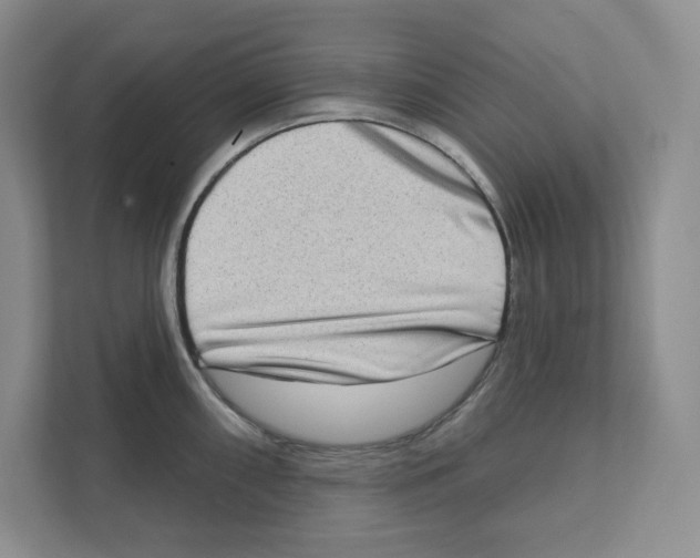 X0000111181098200907291138