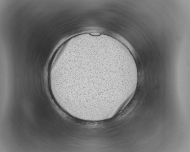 X0000111181099200907291138